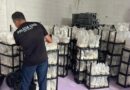Polícia Civil descobre novo galpão de “cogumelo mágico” em Ubatuba e operação revela esquema maior de produção