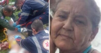 Tutor de pitbulls que mataram idosa em ataque brutal vira réu por homicídio qualificado em São José dos Campos