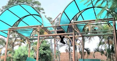 Secretaria de Cultura promove revitalização da Praça 9 de Julho e prepara ações para fortalecer comércio no Centro de Cruzeiro