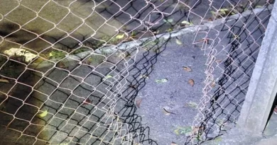 INVASÃO NA MADRUGADA: HOMEM É PRESO AO TENTAR FURTAR CARNE DA MERENDA EM ESCOLA MUNICIPAL DE TAUBATÉ