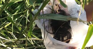 TUFO DE CABELO É ENCONTRADO EM BUSCAS POR ADOLESCENTE APÓS NAMORADO CONFESSAR CRIME À PRÓPRIA MÃE