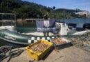 PESCA ILEGAL TERMINA COM 100 QUILOS DE CAMARÃO APREENDIDOS E QUATRO PRESOS NO DOMINGO, DIA 12, EM ANGRA DOS REIS