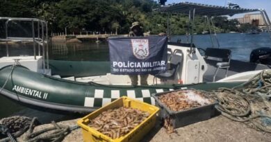 PESCA ILEGAL TERMINA COM 100 QUILOS DE CAMARÃO APREENDIDOS E QUATRO PRESOS NO DOMINGO, DIA 12, EM ANGRA DOS REIS