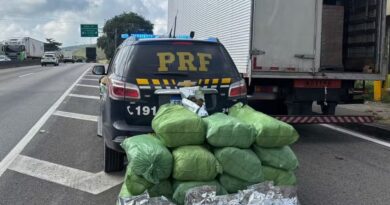 CAMINHONEIRO É PRESO COM MAIS DE 100 KG DE “MACONHA CAMARÃO” ESCONDIDA EM CARGA DE PAPEL NA VIA DUTRA