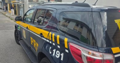 FUGA DESESPERADA NA DUTRA: MENINO DE 8 ANOS É ENCONTRADO CHORANDO À BEIRA DA RODOVIA APÓS RELATAR MAUS TRATOS E CASO TERMINA COM REVERSÃO DE GUARDA EM TAUBATÉ