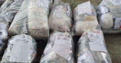 QUASE 600 QUILOS DE DROGAS VIRAM CINZAS EM PINDAMONHANGABA APÓS APREENSÕES NO VALE DO PARAÍBA