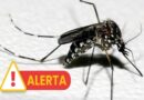 DENGUE AVANÇA NO VALE E TAUBATÉ LIDERA MORTES COM SEIS ÓBITOS CONFIRMADOS EM 2026