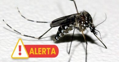 DENGUE AVANÇA NO VALE E TAUBATÉ LIDERA MORTES COM SEIS ÓBITOS CONFIRMADOS EM 2026