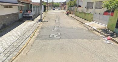 PIT BULL INVADE GARAGEM, ATACA SHIH TZU E DEIXA IDOSA COM FERIMENTO PROFUNDO EM GUARATINGUETÁ