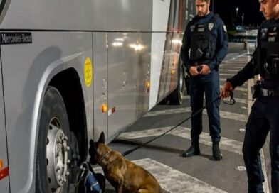 KONA ENTRA EM AÇÃO NA TAMOIOS E AJUDA A ENCONTRAR DROGAS EM ÔNIBUS QUE SEGUIA PARA SÃO SEBASTIÃO