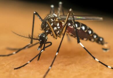 MENINA DE 13 ANOS É A SEGUNDA VÍTIMA FATAL DA DENGUE EM TAUBATÉ E ACENDE NOVO ALERTA NO MUNICÍPIO