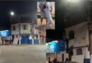 PITBULL ENCURRALADO PELO FOGO É SALVO POR BOMBEIROS ANTES DE PULAR DE PRÉDIO EM CHAMAS EM VARGINHA