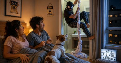 PET ALERTA TUTORA E AJUDA A REVELAR INVASÃO DE APARTAMENTO POR “HOMEM ARANHA” EM CONDOMÍNIO DE LUXO EM SÃO JOSÉ DOS CAMPOS