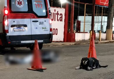 “ELE NÃO ABANDONOU O DONO”: CACHORRO COMOVE MORADORES APÓS MORTE DE HOMEM EM MG