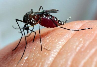 DENGUE AVANÇA E TAUBATÉ CHEGA A SEIS MORTES: CIDADE CONFIRMA MAIS DOIS ÓBITOS E REFORÇA ALERTA CONTRA O MOSQUITO