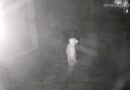 FÉ FERIDA NA MADRUGADA EM LORENA: PARÓQUIA NOSSA SENHORA DE FÁTIMA É ALVO DE FURTO E OBJETOS DO SANTÍSSIMO SÃO LEVADOS