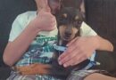 “MEU FILHO NÃO PARA DE CHORAR”: PINSCHER É MORTO POR PITBULL EM PRAÇA E FAMÍLIA VIVE DRAMA EM SÃO JOSÉ