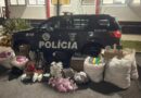 CASA DO TRÁFICO EM PINDAMONHANGABA: BAEP APREENDE QUASE 50 KG DE DROGAS, PRENSA E 181 MIL EMBALAGENS