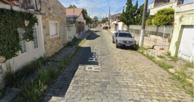 PÂNICO NO CENTRO DE LORENA: PITBULLS ESCAPAM DE REPÚBLICA, AVANÇAM CONTRA MULHER E ATACAM CADELA NA RUA HEPACARÉ