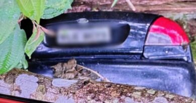 CARRO ESCONDIDO NA RIBANCEIRA, CORPO EM DECOMPOSIÇÃO E MISTÉRIO NA ESTRADA DE SÃO FRANCISCO XAVIER
