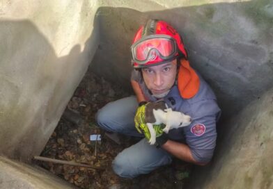FINAL FELIZ NO BUEIRO: FILHOTE DESAPARECIDO HÁ TRÊS DIAS É RESGATADO PELOS BOMBEIROS EM CARAGUÁ
