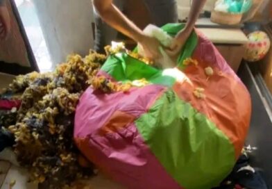 PUFF ESCONDIA DEPÓSITO DE DROGAS: PM ENCONTRA 390 TABLETES DE MACONHA E PRENDE HOMEM EM RESENDE