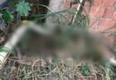 MISTÉRIO EM TERRENO BALDIO: OSSADA HUMANA É ENCONTRADA DURANTE CAPINAGEM EM BARRA MANSA