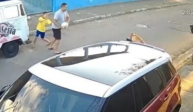 CÃO ENTRA NA FRENTE PARA PROTEGER CRIANÇA E ACABA FERIDO EM ATAQUE DE PIT MONSTER EM SÃO JOSÉ