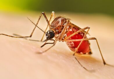 CRUZEIRO MANTÉM CENÁRIO POSITIVO ENQUANTO DENGUE JÁ SOMA 17 MORTES NO VALE