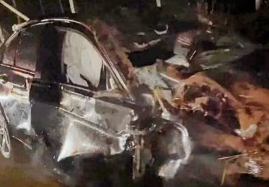 BMW ATINGE CARRO DE BOI, CAPOTA E DEIXA QUATRO ANIMAIS MORTOS NA MG 290