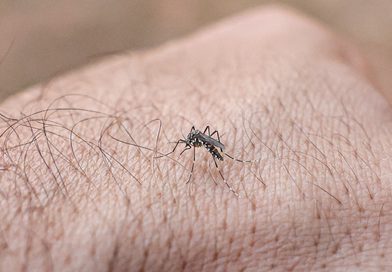 CINCO MESES DEPOIS: DENGUE É CONFIRMADA ENTRE FATORES DA MORTE DE IDOSO E JACAREÍ CHEGA AO 3º ÓBITO