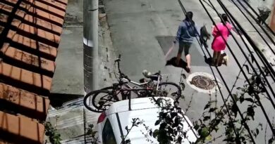 ATAQUE DESESPERADOR: CÃO FRATURA MANDÍBULA DE FILHOTE E MORDE MENINA DE 11 ANOS EM SÃO JOSÉ