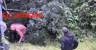 CÂMERAS FLAGRAM INVASÃO NA MATA E POLÍCIA INTERROMPE FURTO DE CABOS NA RODOVIA DOS TAMOIOS