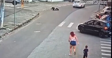 CORRIDA DE R$ 12,60 TERMINA EM PESADELO: MOTORISTA ARRASTA ADOLESCENTE POR UM QUARTEIRÃO E RODA PASSA SOBRE ELA