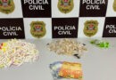 PROMESSA DE VINGANÇA APÓS MORTE DE AMIGO LEVA POLÍCIA A ADOLESCENTE COM 1,4 QUILO DE DROGAS EM SÃO JOSÉ