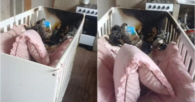 Gritos em meio às chamas: vizinhos arrombam casa, salvam três crianças e mãe é presa