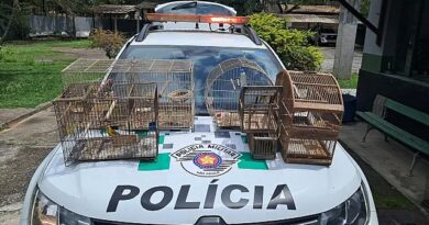 CANÁRIOS, PINTASSILGO E COLEIRINHO: POLÍCIA AMBIENTAL APREENDE SEIS AVES E APLICA MULTA DE R$ 3 MIL EM LAVRINHAS