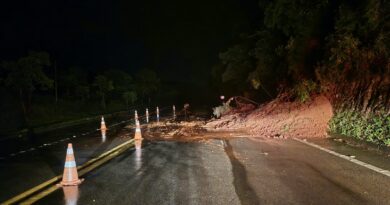 NOITE DE ESTRAGOS: RAIO MATA OITO BOVINOS E TEMPORAL INTERDITA PARTE DA OSWALDO CRUZ EM SÃO LUIZ DO PARAITINGA