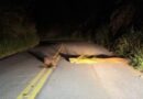 ARMADILHA NA ESTRADA: MULHER ENCONTRA TRONCOS BLOQUEANDO PISTA, ESCAPA DE DOIS HOMENS DE MARCHA À RÉ E POLÍCIA PRENDE SUSPEITO EM BARRA DO PIRAÍ