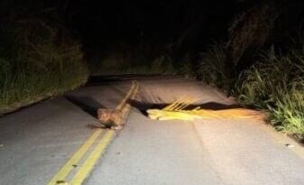 ARMADILHA NA ESTRADA: MULHER ENCONTRA TRONCOS BLOQUEANDO PISTA, ESCAPA DE DOIS HOMENS DE MARCHA À RÉ E POLÍCIA PRENDE SUSPEITO EM BARRA DO PIRAÍ