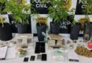 GELADEIRA COM “DRY” E “ICE”, ESTUFA E MAIS DE 15 KG DE MACONHA: POLÍCIA ESTOURA CASA BOMBA EM CAMPOS DO JORDÃO