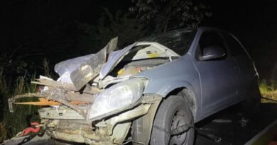 TRAGÉDIA NA SP-183: ANDREIA MORRE APÓS CARRO ATINGIR CARROÇA COM CINCO PESSOAS; MOTORISTA TENTOU REANIMÁ-LA E OUTROS QUATRO FICAM FERIDOS