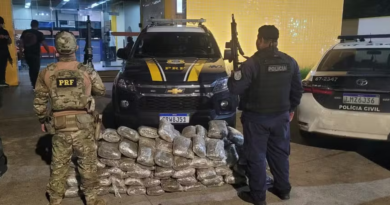 105 PACOTES NO CARRO E FUGA PELO MATO: JOVEM É PRESO COM MAIS DE 80 KG DE SKUNK EM BARRA MANSA